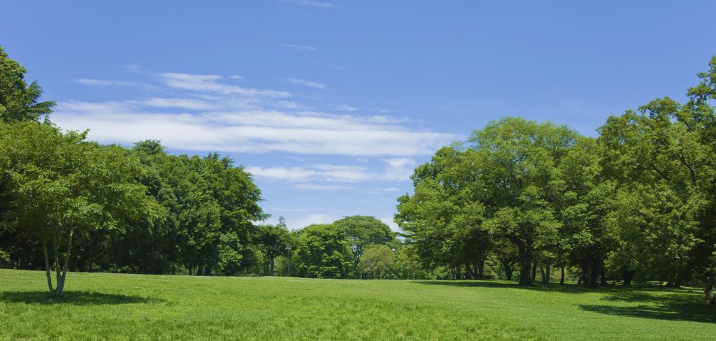 Taranto: al via “Filiere Verdi”, investimento da 23 milioni per la rigenerazione ambientale