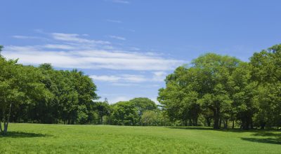 Taranto: al via “Filiere Verdi”, investimento da 23 milioni per la rigenerazione ambientale
